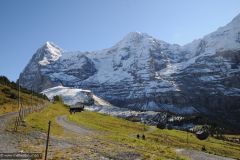 2011-10-12-Switzerland-040-Jungfraujoch