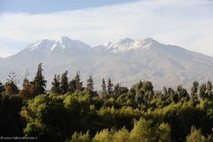 2011-08-22-Peru-0316-Arequipa