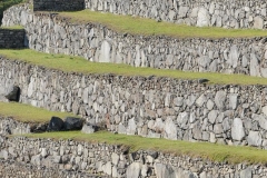 2011-08-30-Peru-0073-Machu-Picchu