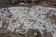 2011-08-31-Peru-0124-Maras-Salinas