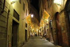 2015-09-17-Toscana-1433-Siena