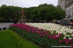 1_2008-05-03-New-York-311